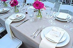 LOVE IN BLOOM AT WISTERIA HALL